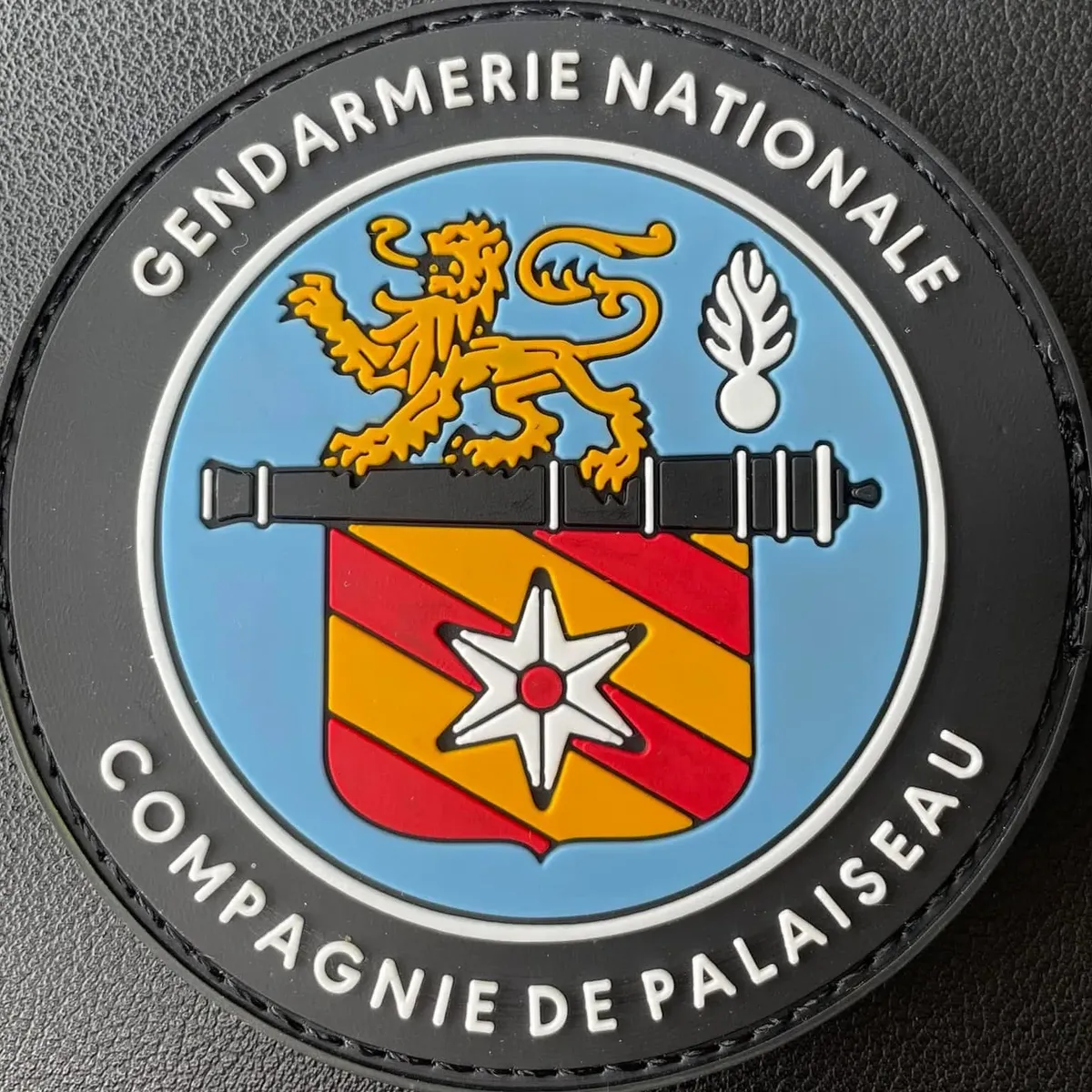 CGD Palaiseau