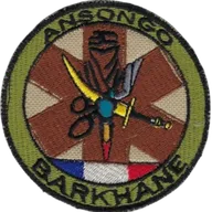 SSA: Ansongo Role 1