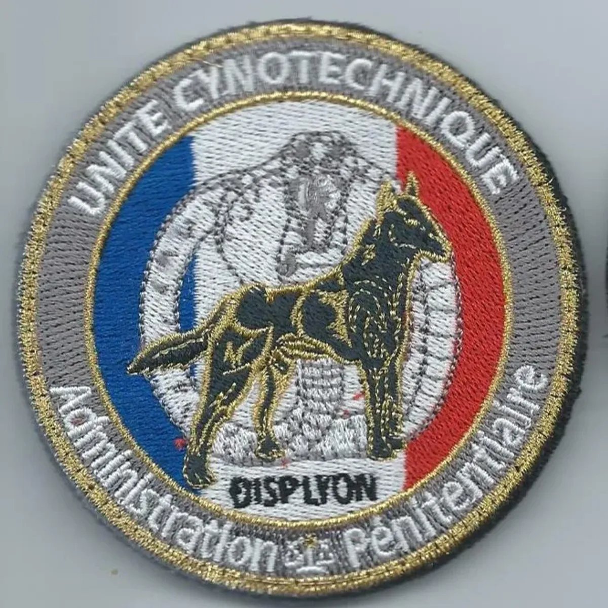 Cynotechnie pénitentiaire - DISP - Lyon