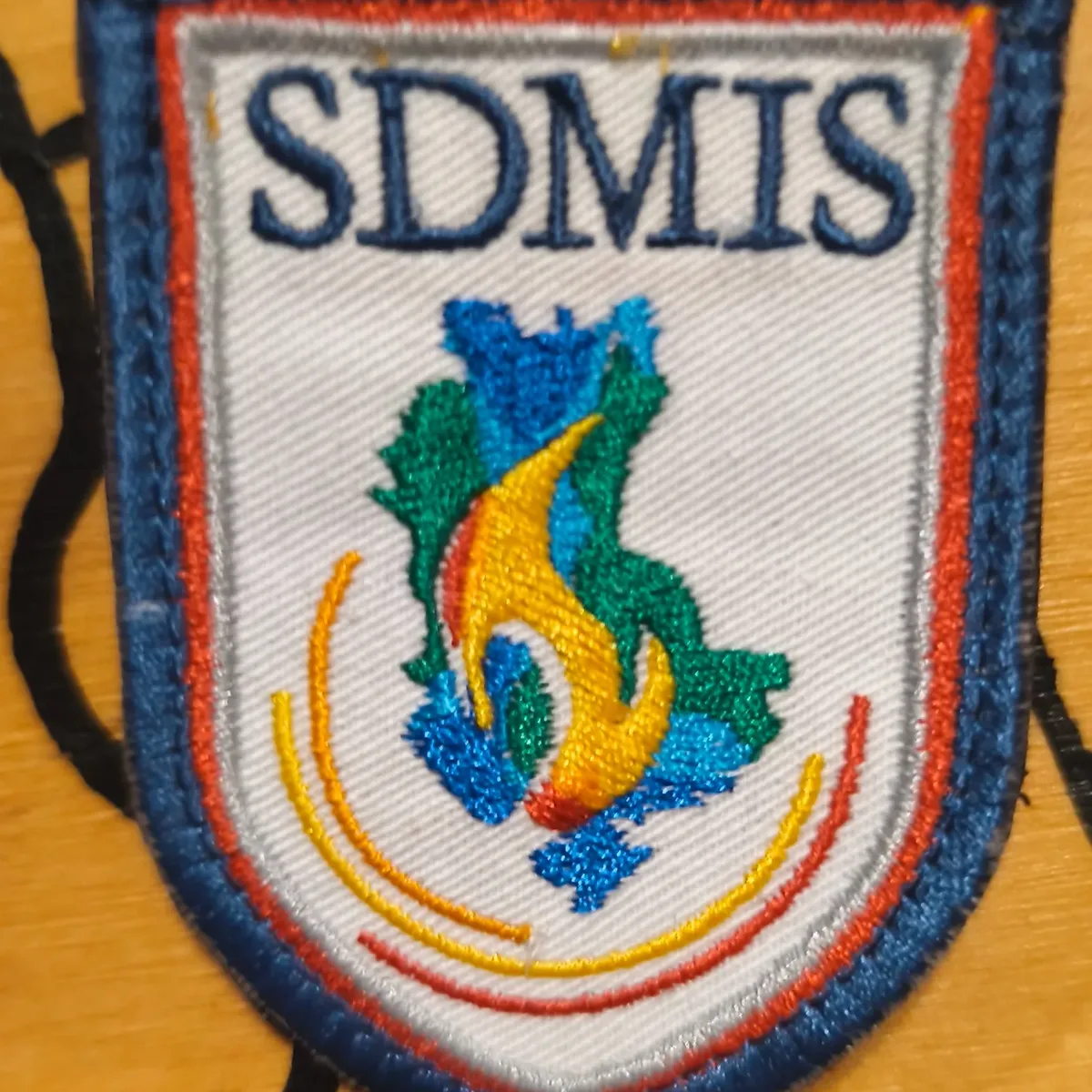 SDMIS SDIS Lyon