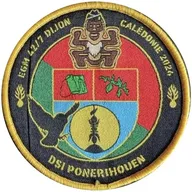 EGM 42/7 Dijon - DSI Ponérihouen NC