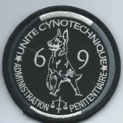 Cynotechnie pénitentiaire - DISP - Lyon