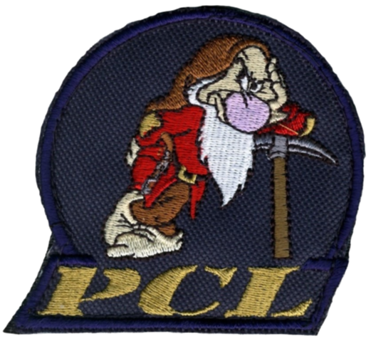 12ème Régiment de Cuirassiers - 1er Escadron - Peloton de Commandement et Logistique