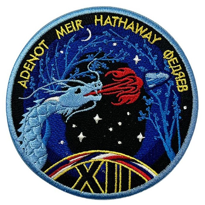 SpaceX Crew-12