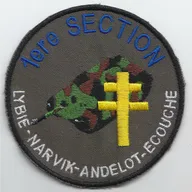 Groupe d'Escadrons 501° Régiment de Chars de Combat - 1° Compagnie - 2° Section