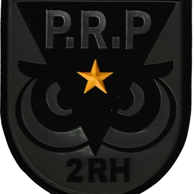 2ème Régiment de Hussards - Patrouille de Recherche Profonde - Chef d'équipe