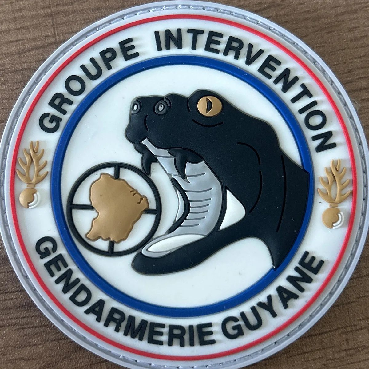 Groupe Intervention Guyane