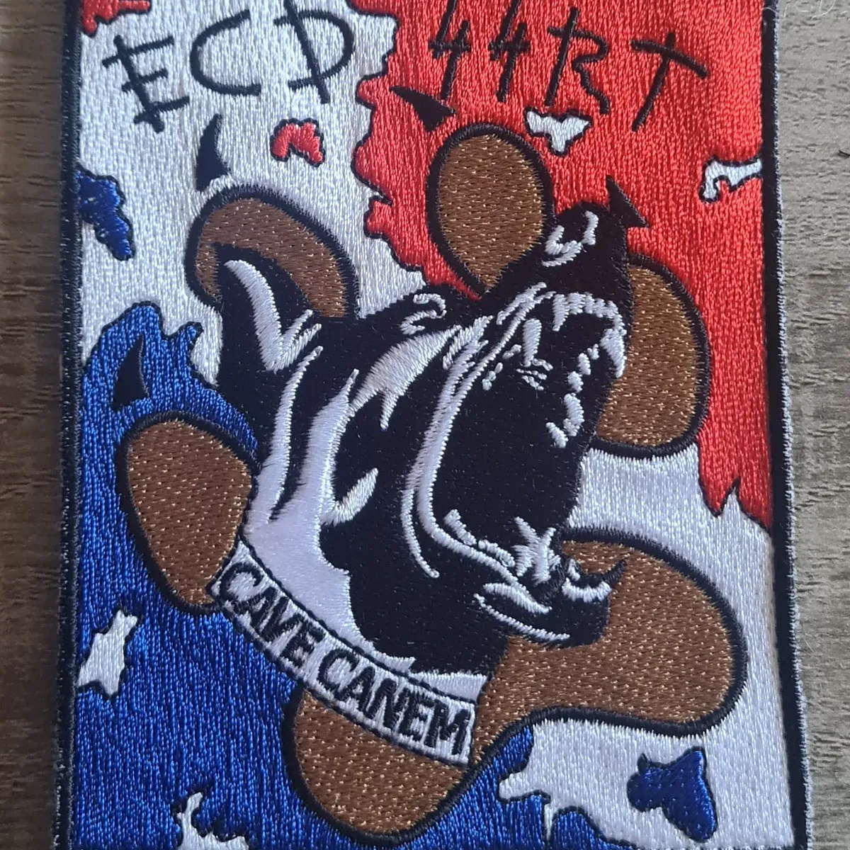 Équipe Cynotéchnique de détection