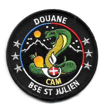 BSE -  Saint-Julien-en-Genevois - CAM