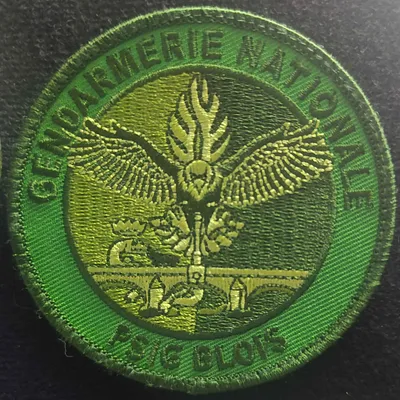 Peloton de Surveillance et d'Intervention de la Gendarmerie (PSIG) - Blois