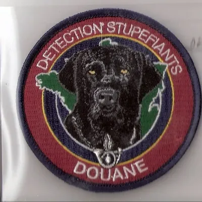 Douane - Maître de chien recherche des stupéfiants