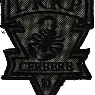 2ème Régiment de Hussards - 3ème Escadron - Opération Barkhane - Sous-Groupement de Recherche Multicapeurs - Cerbère 10