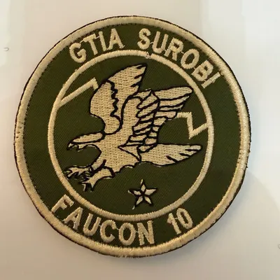 2ème Régiment de Hussards, GTIA Surobi Faucon 10