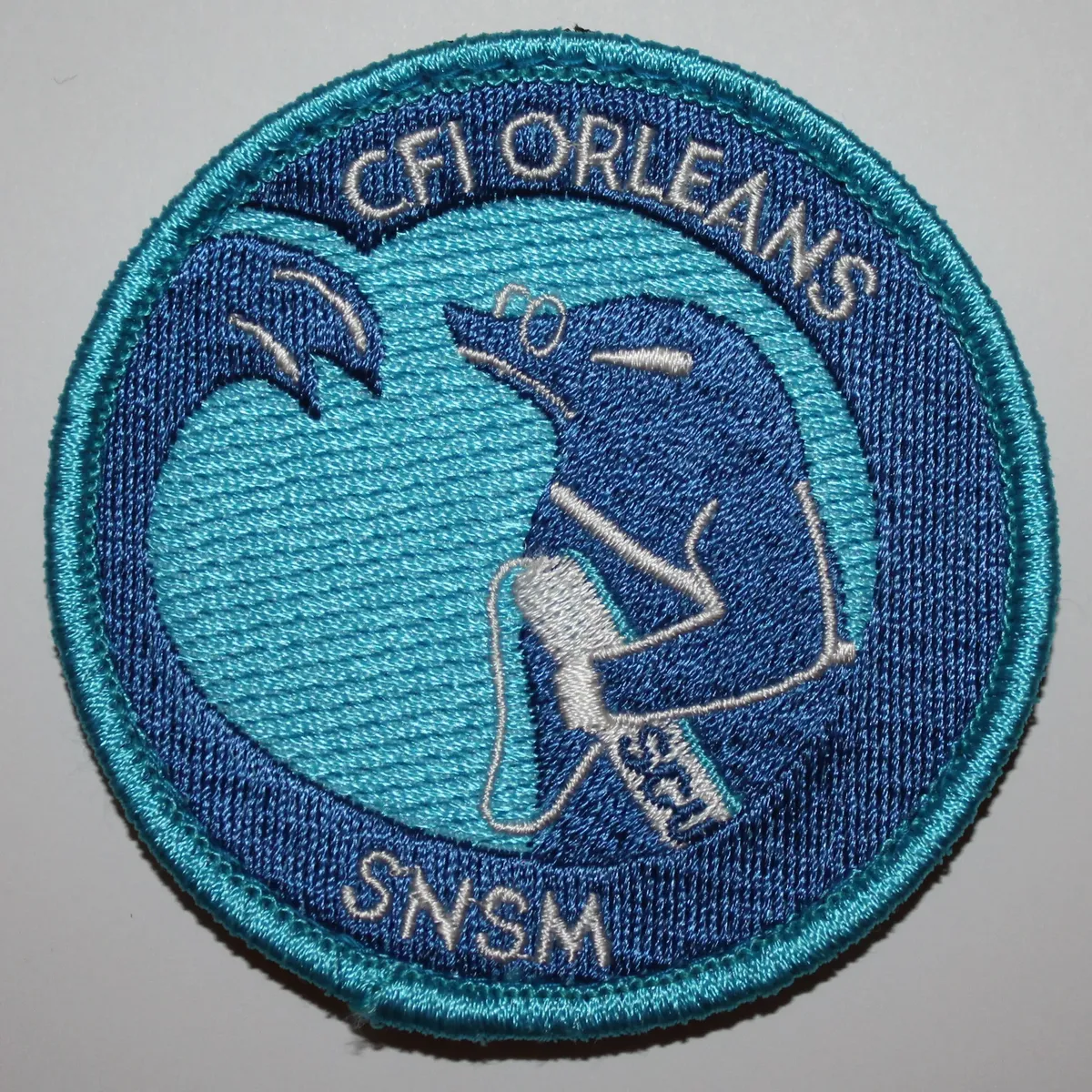 CFI SNSM Orléans