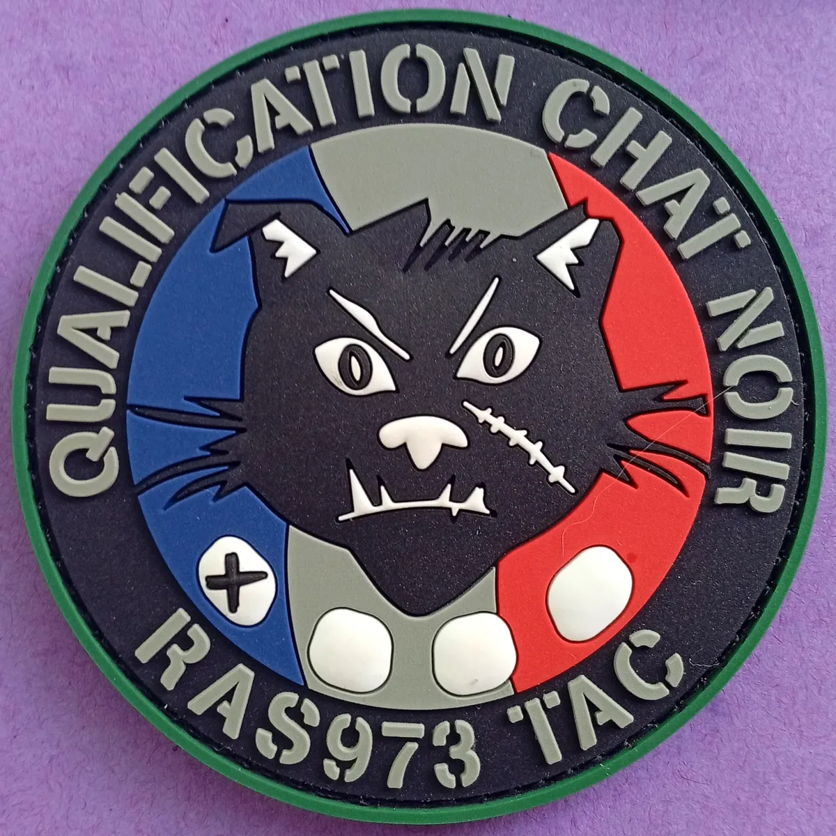 QUALIFICATION CHAT NOIR - RAS973 - TAC 