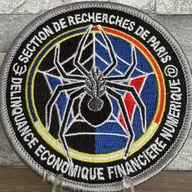 SR Paris - Division Délinquance Économique Financière Numérique 