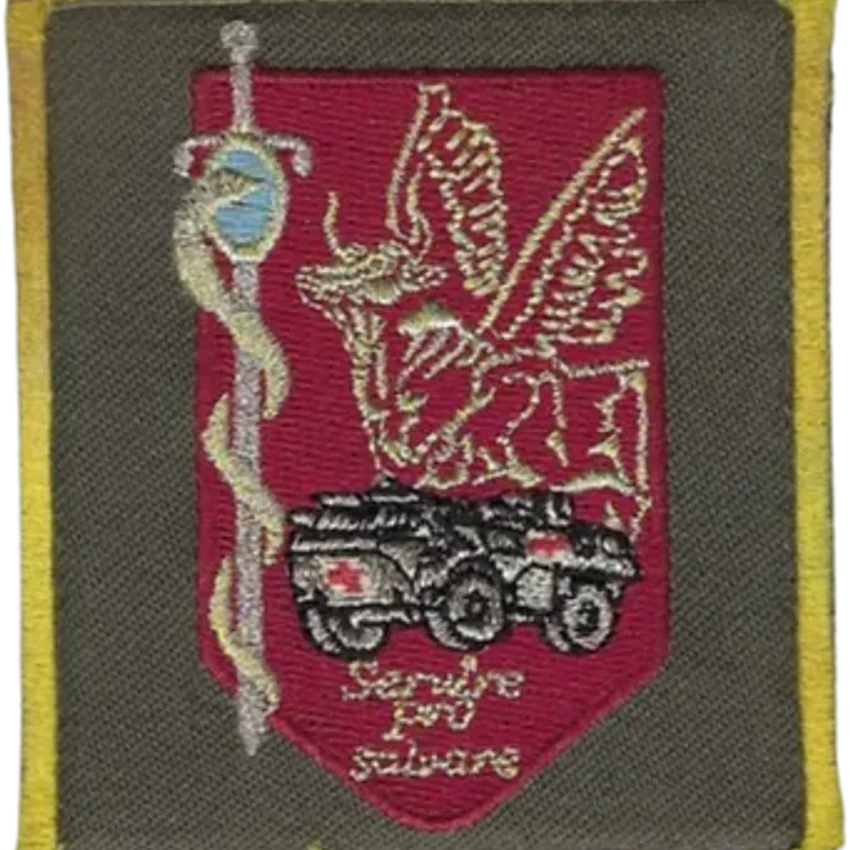 SSA : Régiment Médical Félin type 1 3ème CMC
