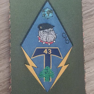 CNSO / 43e BT / Compagnie d'Appui Opérationnelle