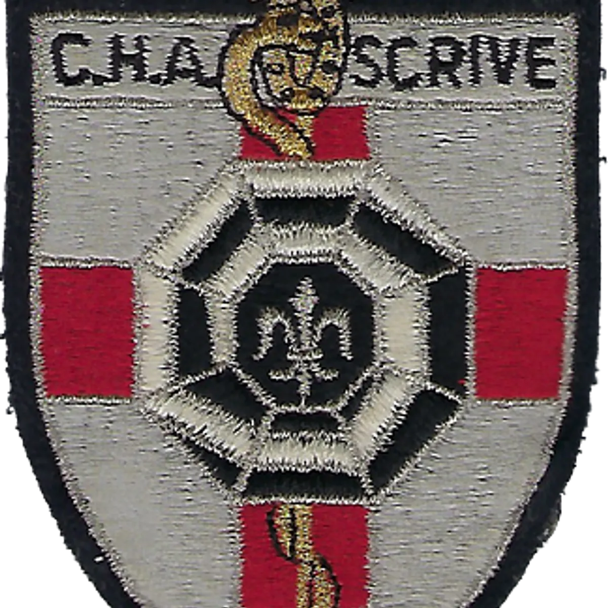 SSA : CHA SCRIVE Lille