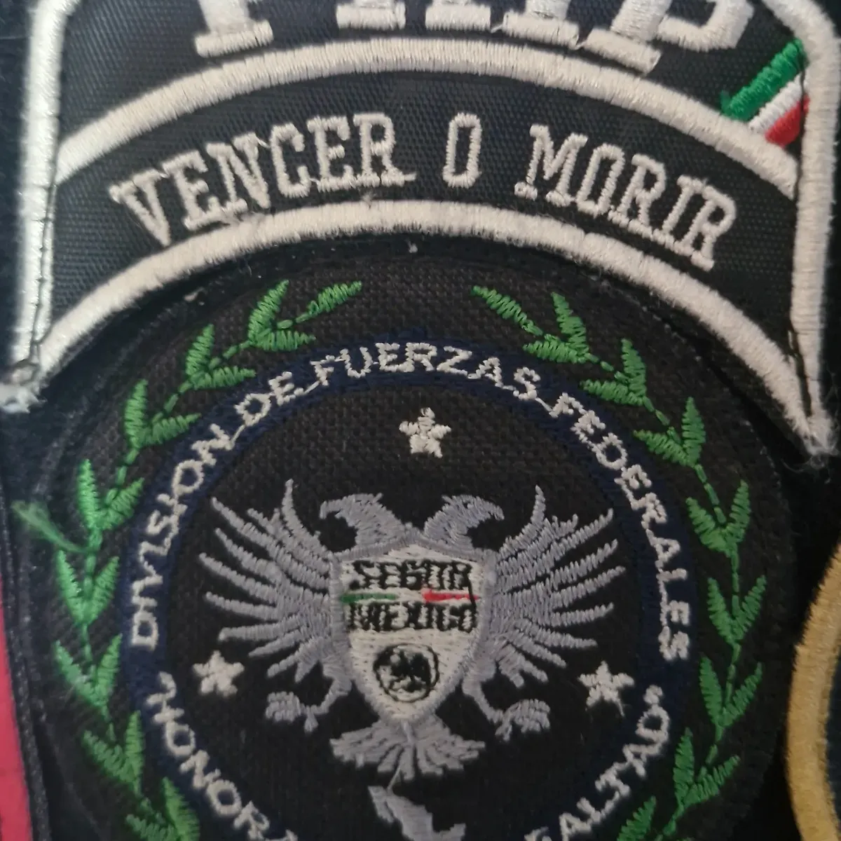 Division de force fédérale 