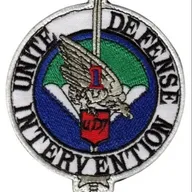13e RDP - 1er escadron - UDI 