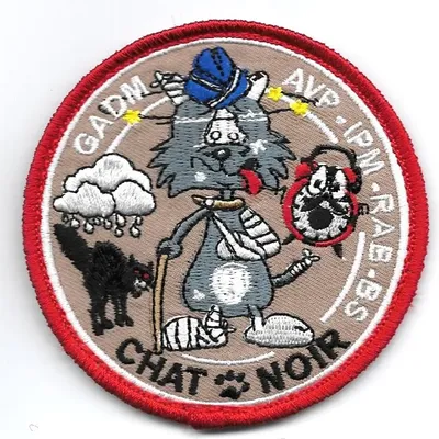 Chat Noir - GADM - AVP - IPM - RAB - BS