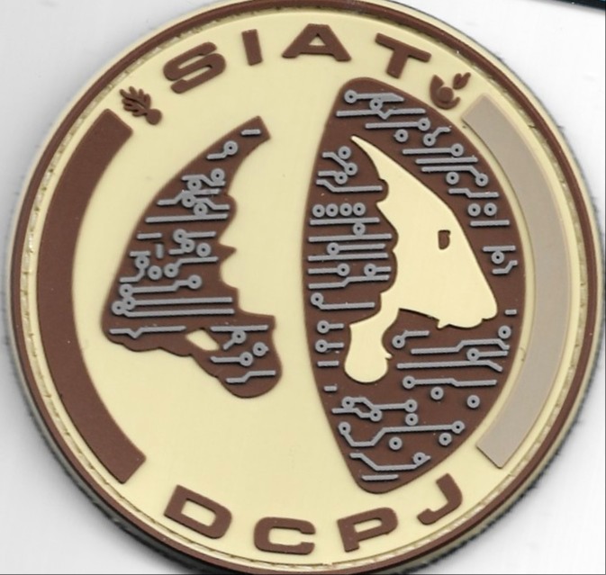 DCPJ - SIAT 