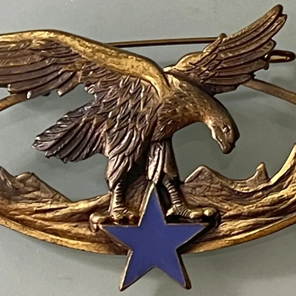 Brevet Spécialité Troupes de Montagne, bronze
