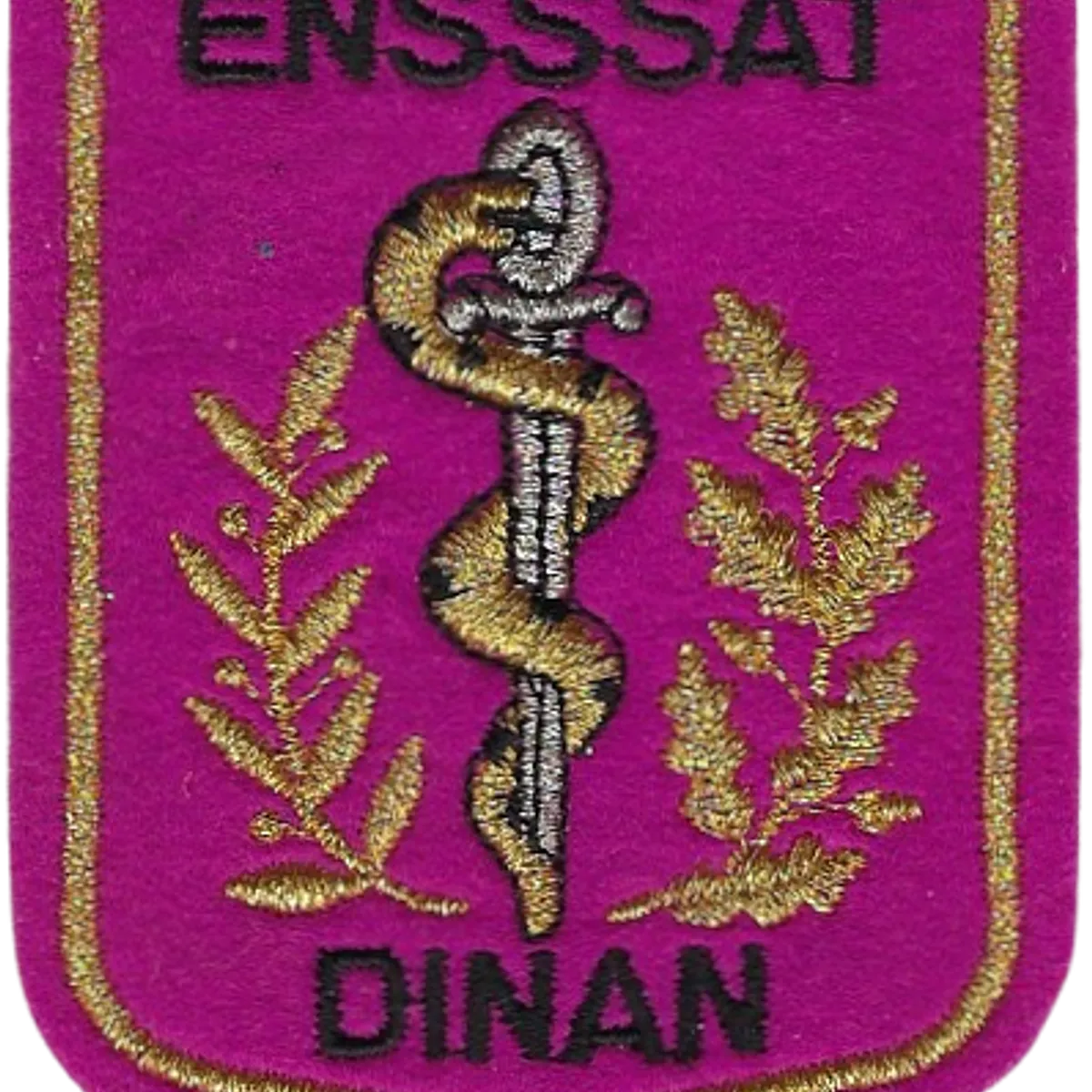 SSA : ENSSSAT Dinan 6 feuilles (chêne)