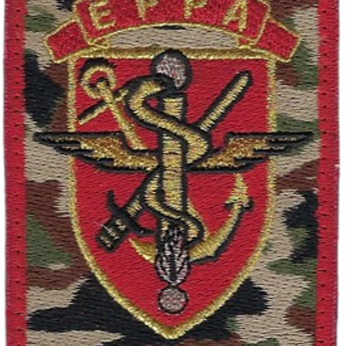 SSA : EPPA V6