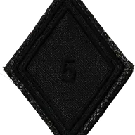 Losange de bras 5ème Régiment de Dragons (BV)