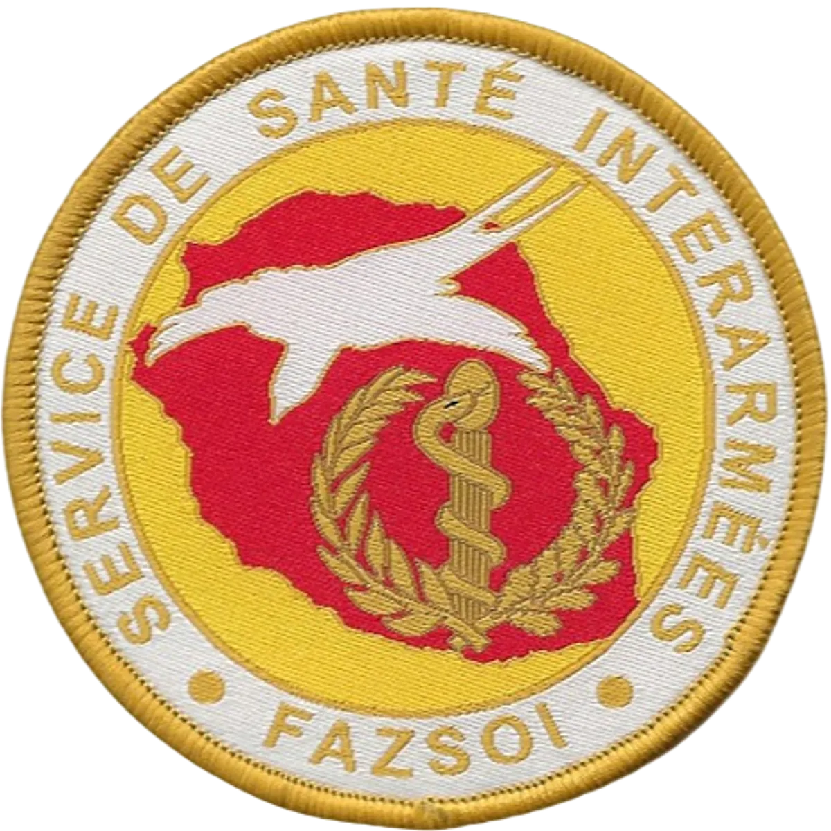 SSA : DIASS FAZSOI