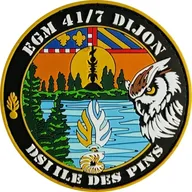 EGM 41/7 Dijon - DSI Des Pins
