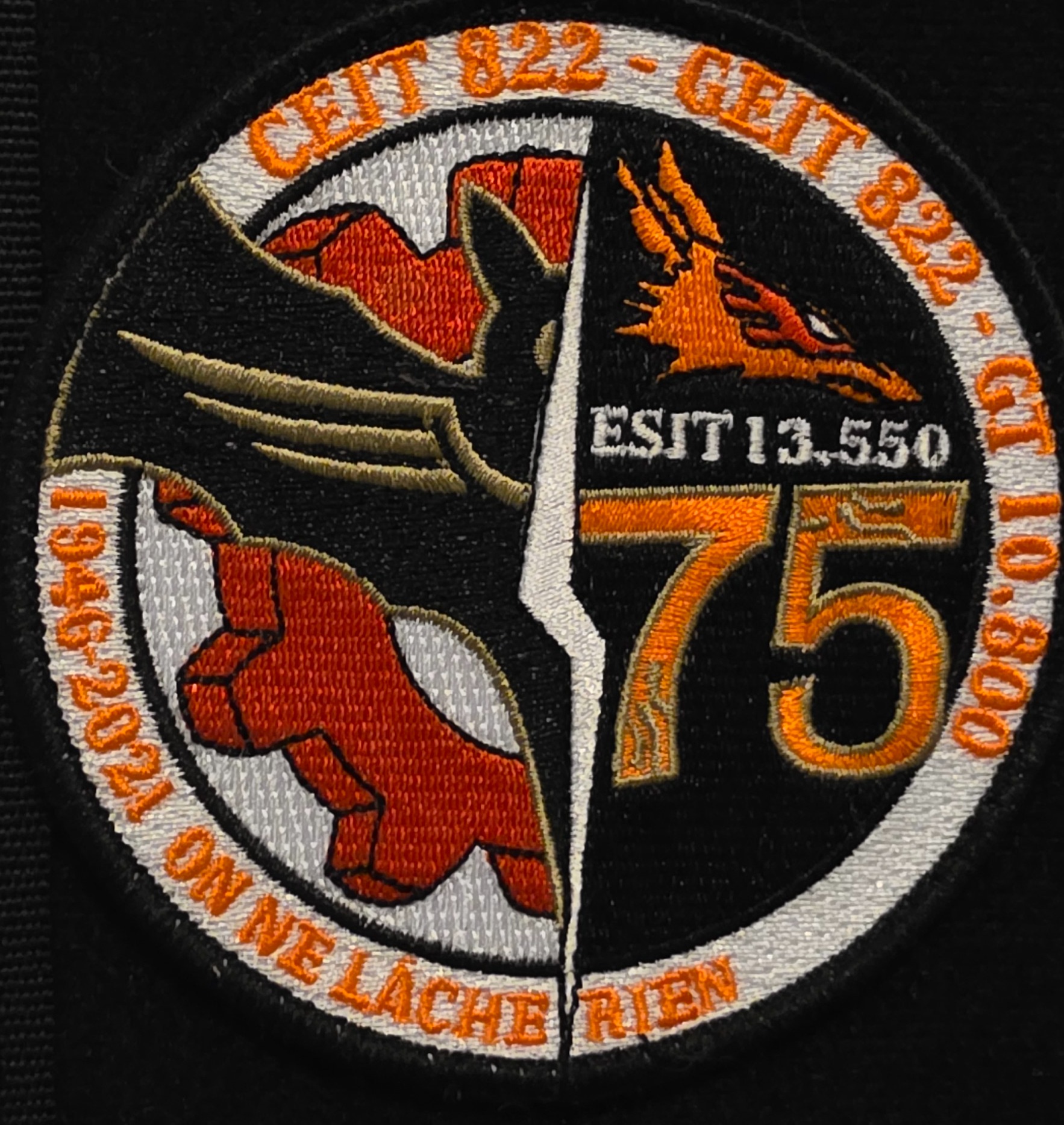 ESIT 13.550 - DDay 75 ans