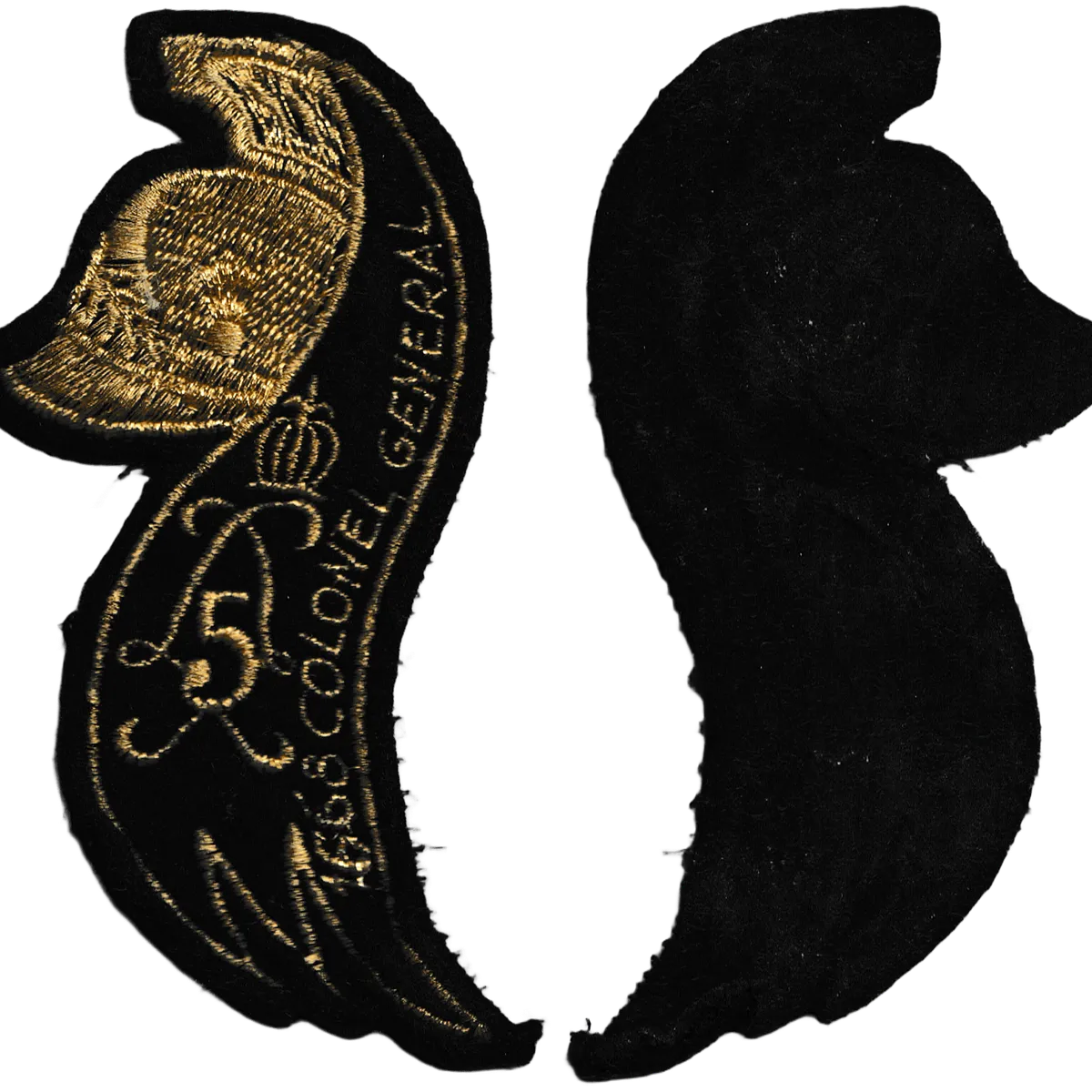 5ème Régiment de Dragons