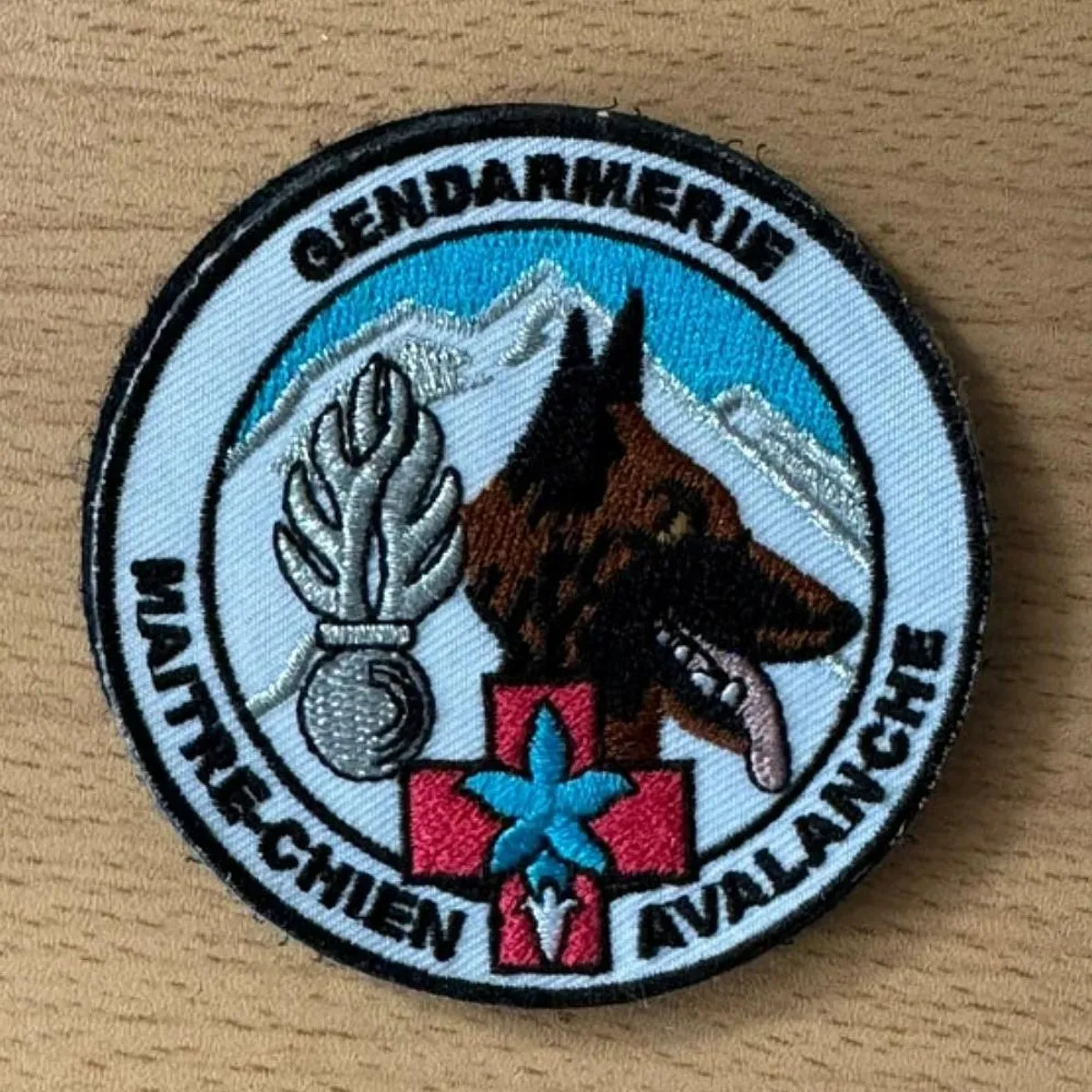 Maître chien avalanche - Gendarmerie