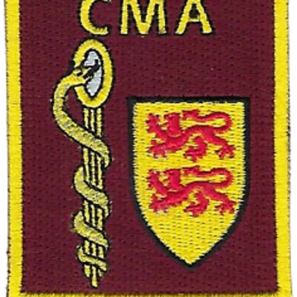 SSA : CMA Nancy-Ochey