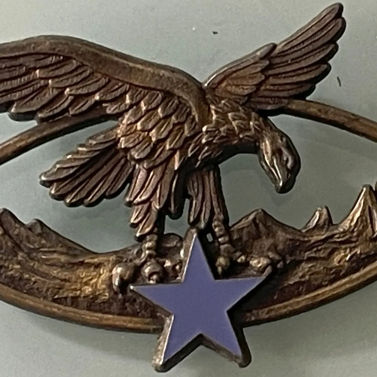 Brevet Spécialité Troupes de Montagne, Bronze