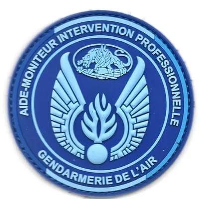 GAE - Aide-Moniteur Intervention Professionnelle 