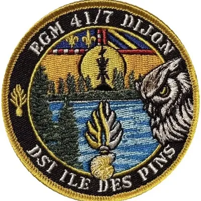 EGM 41/7 Dijon - DSI Ile des Pins