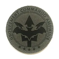 11e Régiment d'Artillerie de Marine - GCA