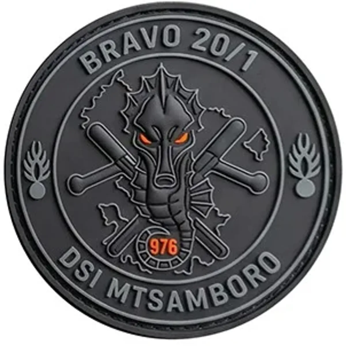 EGM 20/1 Rosny-sous-Bois - DSI Mtsamboro - Bravo