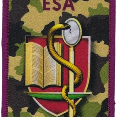 SSA : ESA Lyon Bron