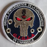 Groupe d'Intervention de la Gendarmerie de l'Arbesle 69