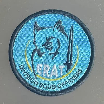 École du Renseignement de l’Armée de Terre-Division des sous-officiers