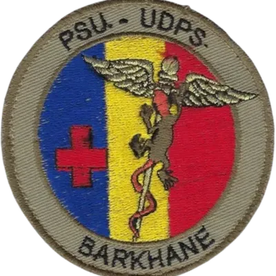 SSA : PSU UDPS Barkhane