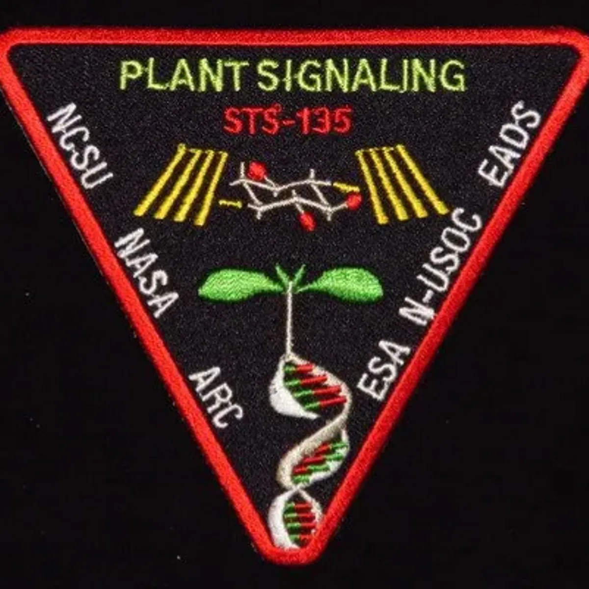 STS-135 Plants