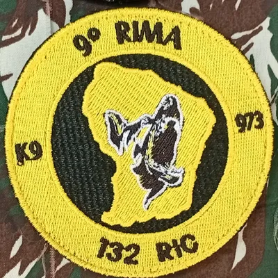 9e RIMa - 132 RIC - K9