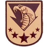 GCP - Opération COBRA