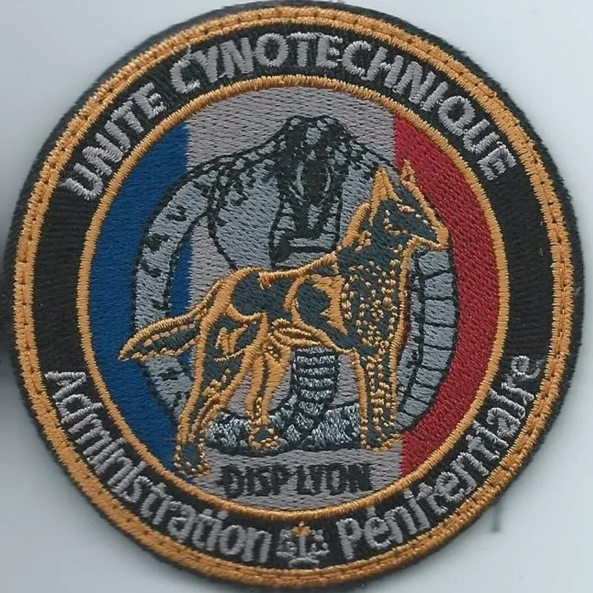 Cynotechnie pénitentiaire - DISP - Lyon